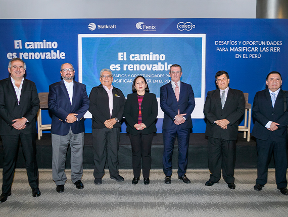 “Para que la matriz energética renovable alcance un 20%