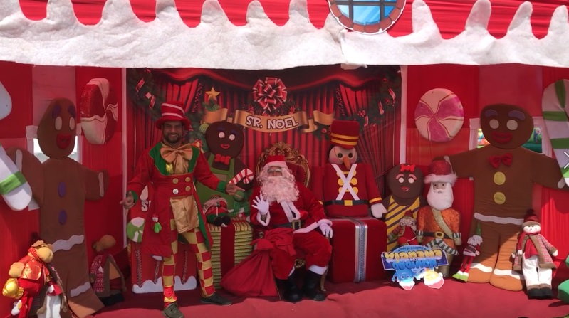 fenix-navidad-2019-04
